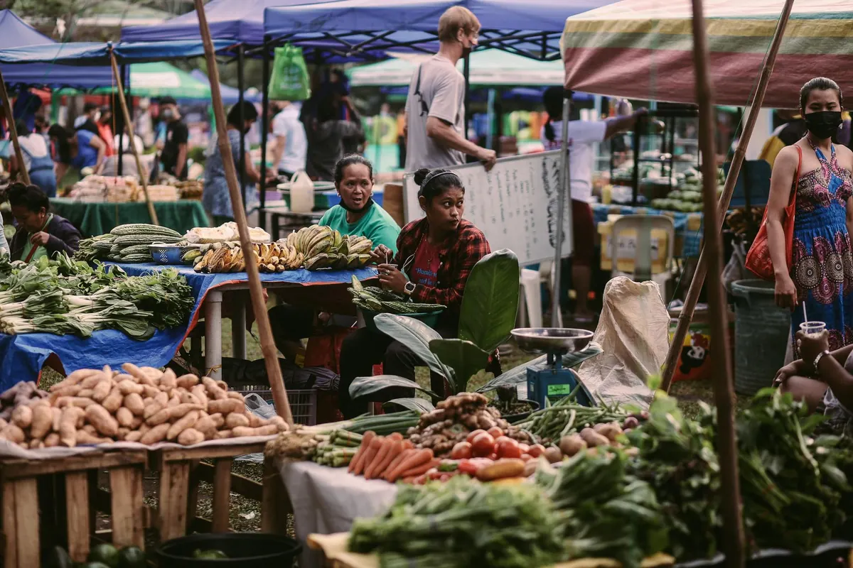 Borough Farmers Market Comparison: Saturday vs. Wednesday Locations, Vendors, and Parking